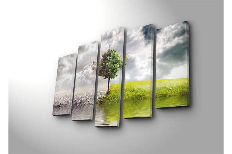 Suuri 5-osainen canvas-taulu, 105x70 cm - Vehreät puut kuivan maan ja rehevän niityn välissä - Vihreä / Harmaa / Beige - Sisustustuotteet - Taulu & taide - Canvas-taulu