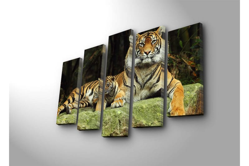 Suuri 5-osainen canvas-taulu, 105x70 cm - Ylpeä tiikeri pentunsa kanssa lepäämässä kivellä - Oranssi / Musta / Beige - Sisustustuotteet - Taulu & taide - Canvas-taulu