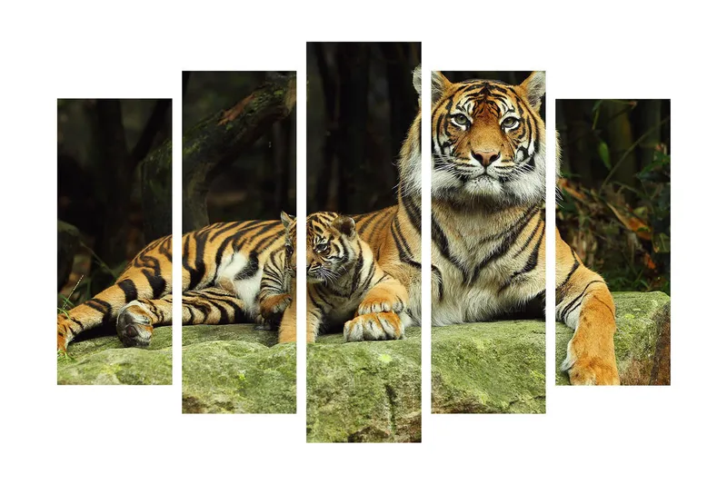 Suuri 5-osainen canvas-taulu, 105x70 cm - Ylpeä tiikeri pentunsa kanssa lepäämässä kivellä, Oranssi / Musta / Beige