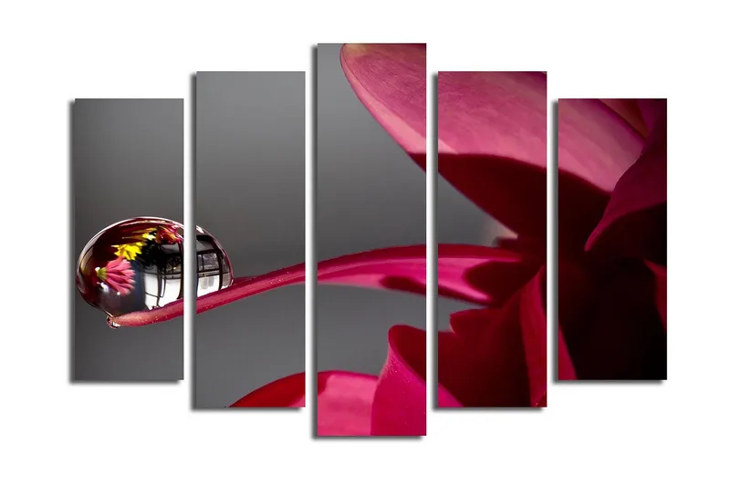 Suuri 5-osainen canvas-taulu, 105x70 cm - Pisaroita kukassa ja heijastuksia ympäristöstä, Tummanpunainen / Vaaleanpunainen / Kirkas (läpinäkyvä)