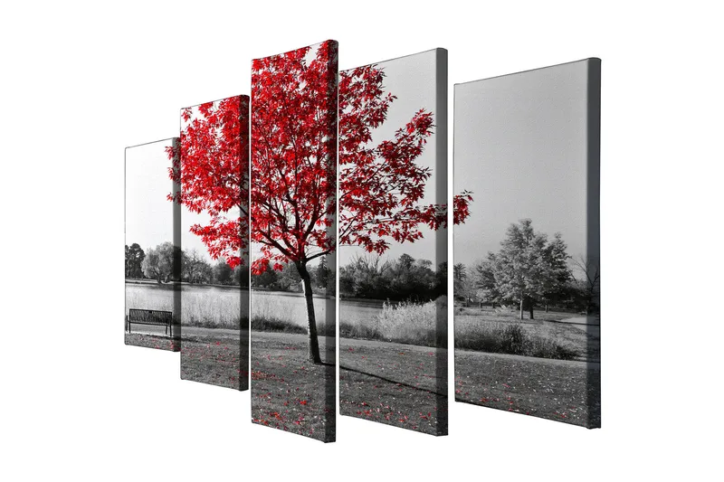 Suuri 5-osainen canvas-taulu, 105x70 cm - Punavaahtera mustavalkoisessa maisemaympäristössä, Punainen / Musta / Harmaa