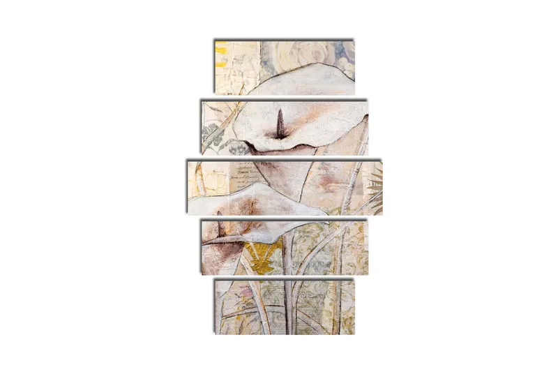 Suuri 5-osainen canvas-taulu 105x70 cm - Abstrakti sommitelma valkoisilla kukilla ja orgaanisilla muodoilla, Valkoinen / Beige / Harmaa