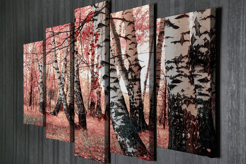 Suuri 5-osainen canvas-taulu 105x70 cm - Kaunis metsä ja koivut syksyn väreissä - Vaaleanpunainen / Musta / Valkoinen - Sisustustuotteet - Taulu & taide - Canvas-taulu