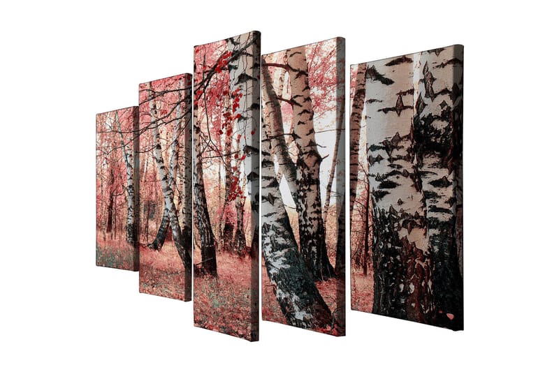 Suuri 5-osainen canvas-taulu 105x70 cm - Kaunis metsä ja koivut syksyn väreissä, Vaaleanpunainen / Musta / Valkoinen
