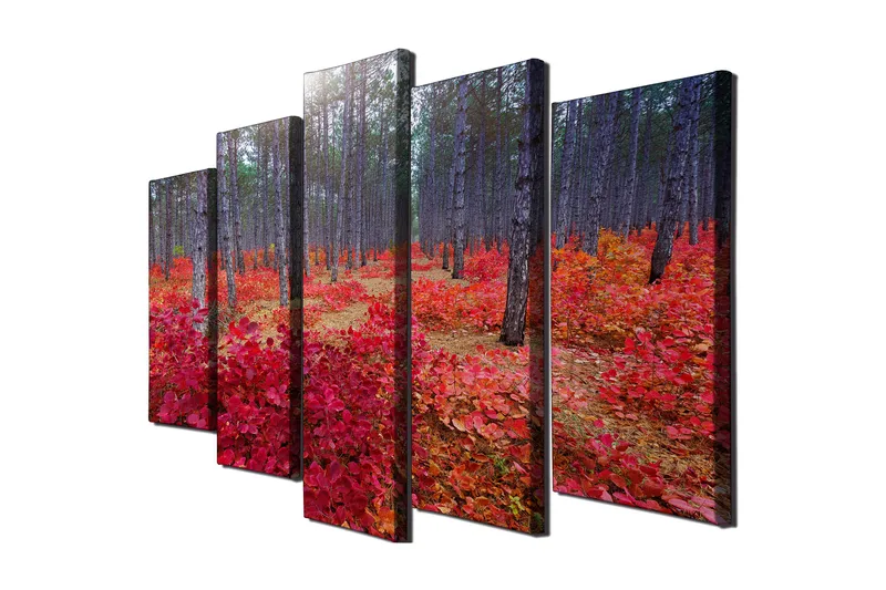 Suuri 5-osainen canvas-taulu 105x70 cm - Kaunis metsä syksyn väreissä ja punaisissa lehdissä, Punainen / Vihreä / Ruskea