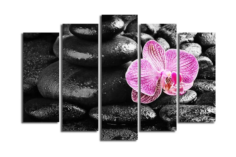Suuri 5-osainen canvas-taulu 105x70 cm - Kaunis orkidea, jossa on kontrastia mustien kivien kanssa, Musta / Vaaleanpunainen