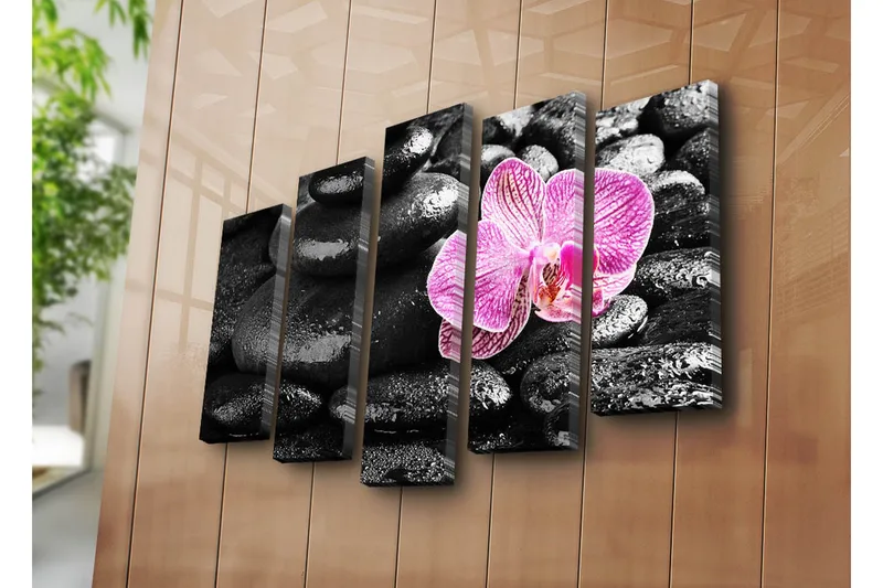 Suuri 5-osainen canvas-taulu 105x70 cm - Kaunis orkidea, jossa on kontrastia mustien kivien kanssa - Musta / Vaaleanpunainen - Sisustustuotteet - Taulu & taide - Canvas-taulu
