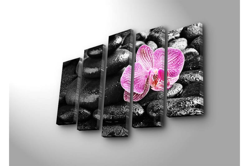 Suuri 5-osainen canvas-taulu 105x70 cm - Kaunis orkidea, jossa on kontrastia mustien kivien kanssa - Musta / Vaaleanpunainen - Sisustustuotteet - Taulu & taide - Canvas-taulu