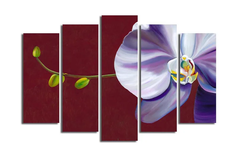 Suuri 5-osainen canvas-taulu 105x70 cm - Kaunis orkidea eleganteilla kukilla, Valkoinen / Violetti / Vihreä