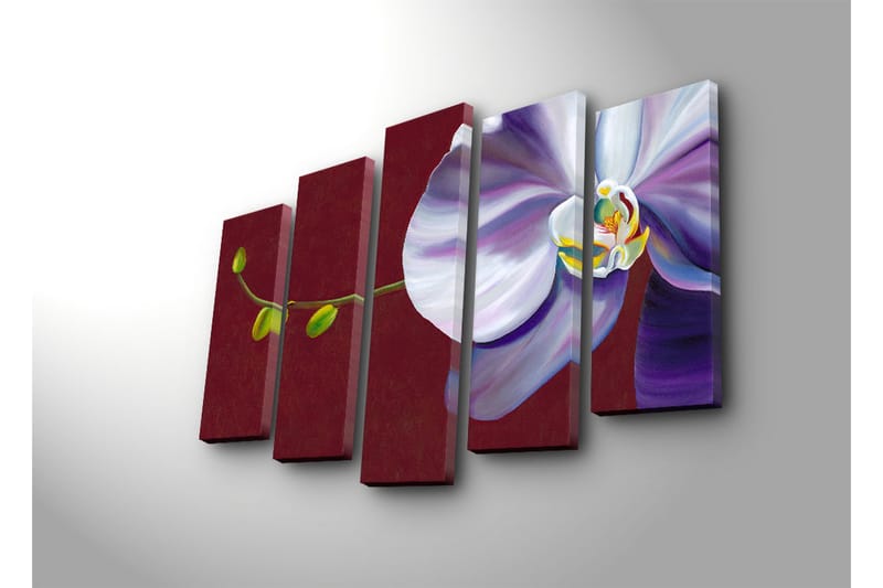 Suuri 5-osainen canvas-taulu 105x70 cm - Kaunis orkidea eleganteilla kukilla - Valkoinen / Violetti / Vihreä - Sisustustuotteet - Taulu & taide - Canvas-taulu