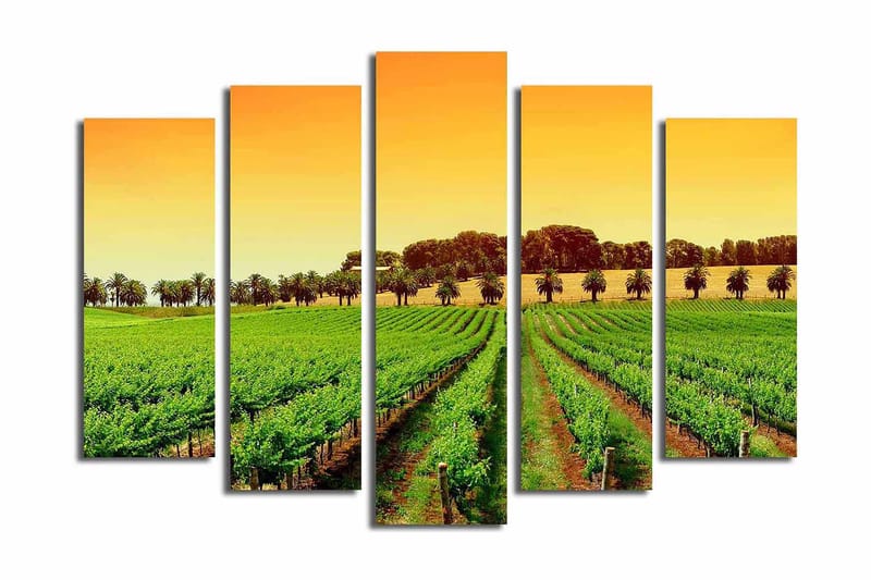 Suuri 5-osainen canvas-taulu 105x70 cm - Kaunis viinitarha aurinkoisen taivaan alla - Vihreä / Oranssi / Keltainen - Sisustustuotteet - Taulu & taide - Canvas-taulu