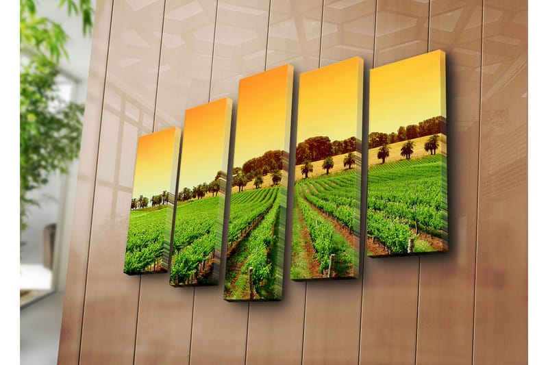 Suuri 5-osainen canvas-taulu 105x70 cm - Kaunis viinitarha aurinkoisen taivaan alla - Vihreä / Oranssi / Keltainen - Sisustustuotteet - Taulu & taide - Canvas-taulu
