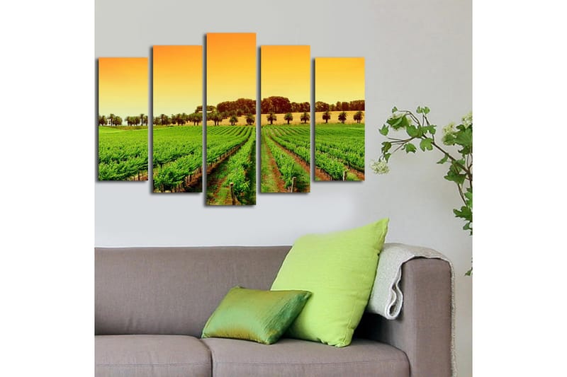 Suuri 5-osainen canvas-taulu 105x70 cm - Kaunis viinitarha aurinkoisen taivaan alla - Vihreä / Oranssi / Keltainen - Sisustustuotteet - Taulu & taide - Canvas-taulu
