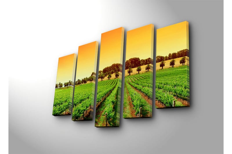 Suuri 5-osainen canvas-taulu 105x70 cm - Kaunis viinitarha aurinkoisen taivaan alla - Vihreä / Oranssi / Keltainen - Sisustustuotteet - Taulu & taide - Canvas-taulu