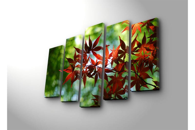 Suuri 5-osainen canvas-taulu 105x70 cm - Kirkkaanpunaiset vaahteranlehdet vihreää taustaa vasten - Punainen / Vihreä - Sisustustuotteet - Taulu & taide - Canvas-taulu