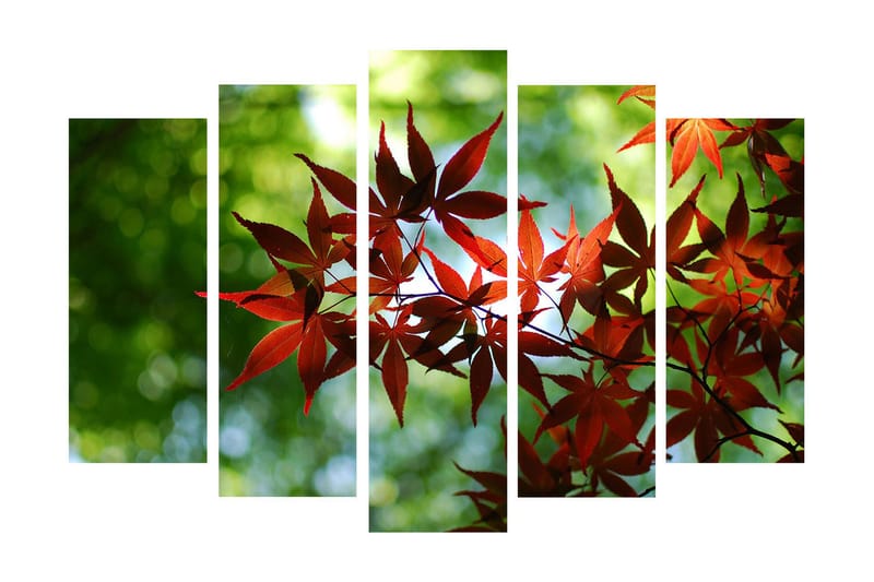 Suuri 5-osainen canvas-taulu 105x70 cm - Kirkkaanpunaiset vaahteranlehdet vihreää taustaa vasten, Punainen / Vihreä