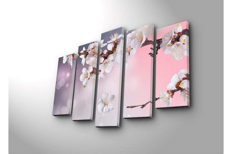 Suuri 5-osainen canvas-taulu 105x70 cm - Kukkiva kirsikanoksa valkoisilla kukilla - Valkoinen / Violetti / Vaaleanpunainen - Sisustustuotteet - Taulu & taide - Canvas-taulu