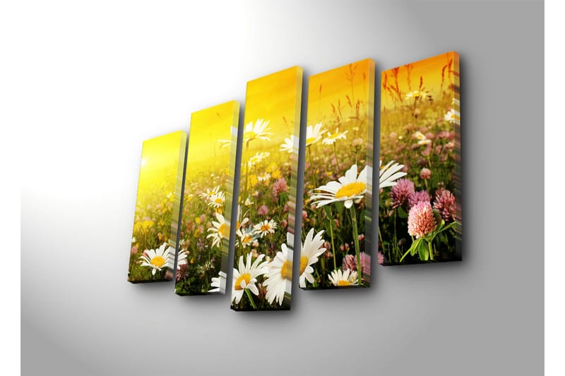 Suuri 5-osainen canvas-taulu 105x70 cm - Kukkiva niitty päivänkakkaroiden ja apilan kukkien kera - Keltainen / Valkoinen / Vihreä - Sisustustuotteet - Taulu & taide - Canvas-taulu