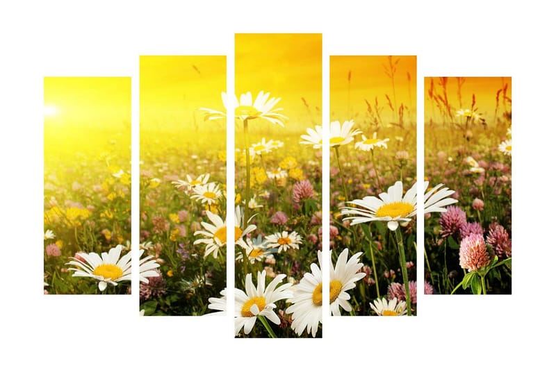 Suuri 5-osainen canvas-taulu 105x70 cm - Kukkiva niitty päivänkakkaroiden ja apilan kukkien kera, Keltainen / Valkoinen / Vihreä