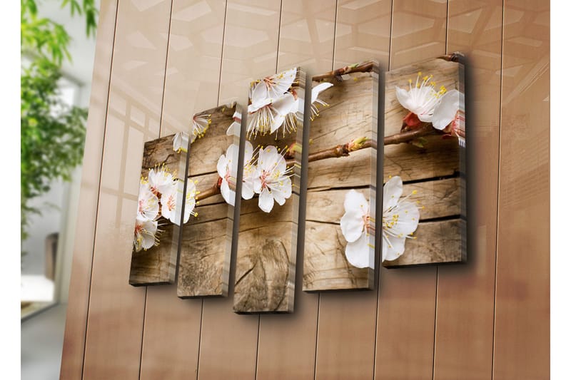 Suuri 5-osainen canvas-taulu 105x70 cm - Kukkivia oksia ja valkoisia kukkia - Valkoinen / Keltainen / Ruskea - Sisustustuotteet - Taulu & taide - Canvas-taulu