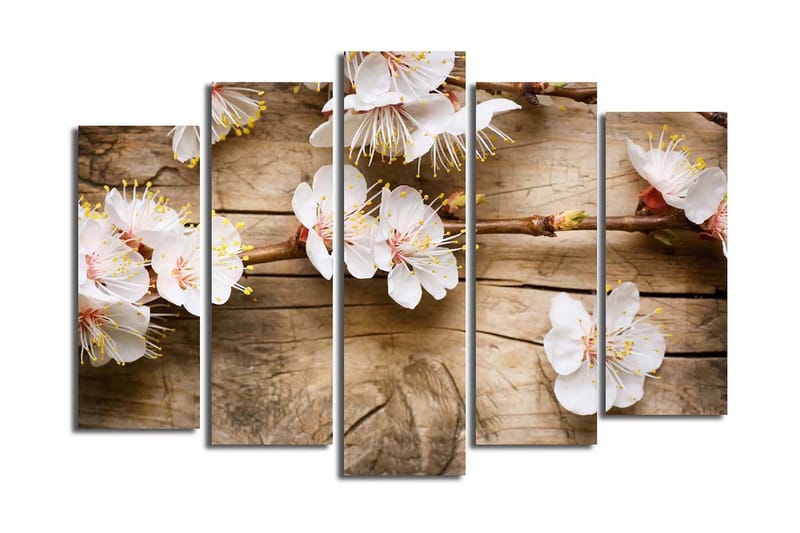 Suuri 5-osainen canvas-taulu 105x70 cm - Kukkivia oksia ja valkoisia kukkia - Valkoinen / Keltainen / Ruskea - Sisustustuotteet - Taulu & taide - Canvas-taulu