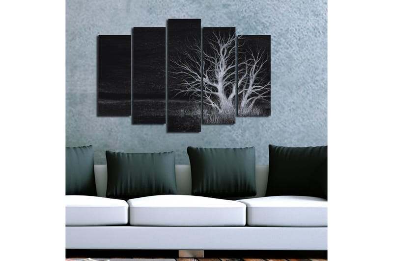 Suuri 5-osainen canvas-taulu 105x70 cm - Kuoleman puu tummassa maisemassa - Musta / Valkoinen - Sisustustuotteet - Taulu & taide - Canvas-taulu