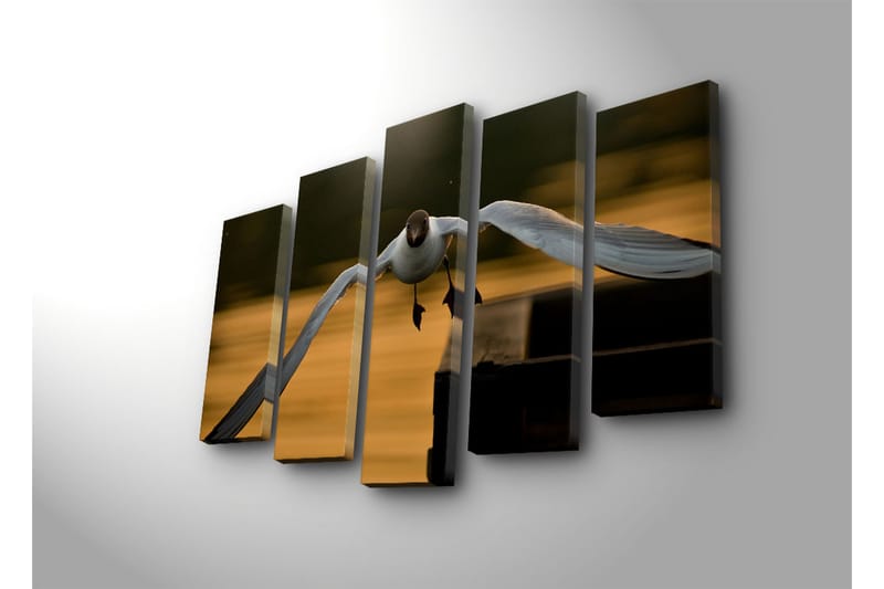Suuri 5-osainen canvas-taulu 105x70 cm - Lentävä lokki kultaisessa hämärässä - Valkoinen / Musta / Kultainen - Sisustustuotteet - Taulu & taide - Canvas-taulu