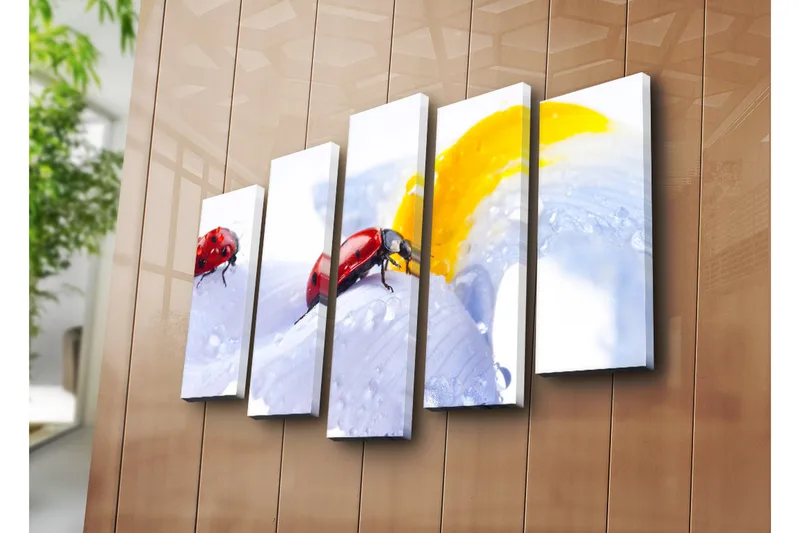 Suuri 5-osainen canvas-taulu 105x70 cm - Leppäkerttuja vaaleansinisellä kukalla vesipisaroilla - Punainen / Vaaleansininen / Keltainen - Sisustustuotteet - Taulu & taide - Canvas-taulu