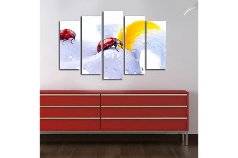 Suuri 5-osainen canvas-taulu 105x70 cm - Leppäkerttuja vaaleansinisellä kukalla vesipisaroilla - Punainen / Vaaleansininen / Keltainen - Sisustustuotteet - Taulu & taide - Canvas-taulu