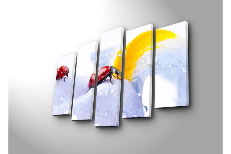 Suuri 5-osainen canvas-taulu 105x70 cm - Leppäkerttuja vaaleansinisellä kukalla vesipisaroilla - Punainen / Vaaleansininen / Keltainen - Sisustustuotteet - Taulu & taide - Canvas-taulu