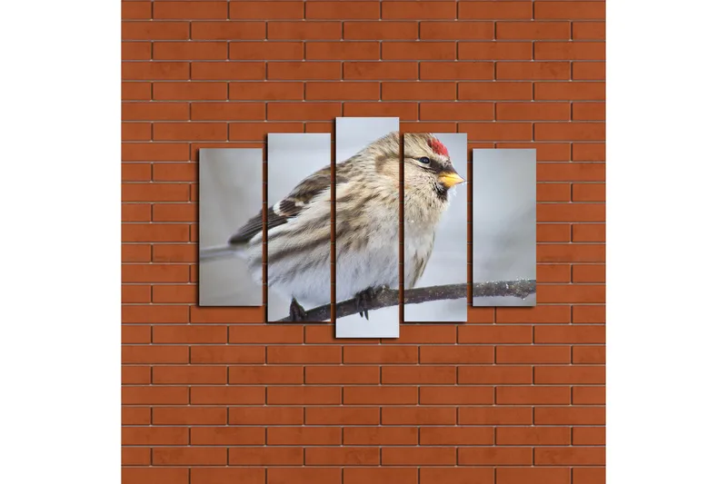 Suuri 5-osainen canvas-taulu 105x70 cm - Linnun siluetti yksityiskohtaisella höyhenpeitteellä - Beige / Harmaa / Punainen - Sisustustuotteet - Taulu & taide - Canvas-taulu