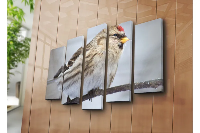 Suuri 5-osainen canvas-taulu 105x70 cm - Linnun siluetti yksityiskohtaisella höyhenpeitteellä - Beige / Harmaa / Punainen - Sisustustuotteet - Taulu & taide - Canvas-taulu
