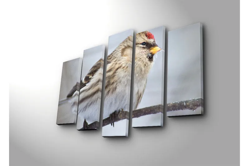 Suuri 5-osainen canvas-taulu 105x70 cm - Linnun siluetti yksityiskohtaisella höyhenpeitteellä - Beige / Harmaa / Punainen - Sisustustuotteet - Taulu & taide - Canvas-taulu