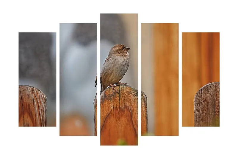 Suuri 5-osainen canvas-taulu 105x70 cm - Lintu puupylväässä, Harmaa / Ruskea / Oranssi