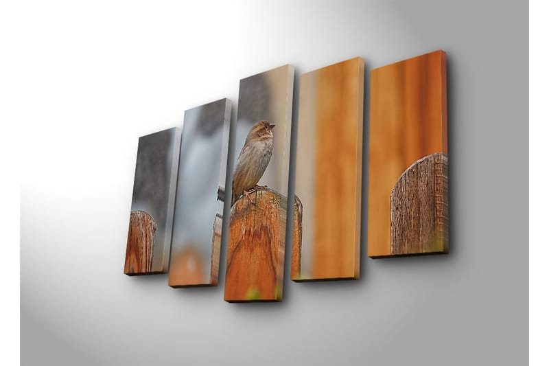 Suuri 5-osainen canvas-taulu 105x70 cm - Lintu puupylväässä - Harmaa / Ruskea / Oranssi - Sisustustuotteet - Taulu & taide - Canvas-taulu