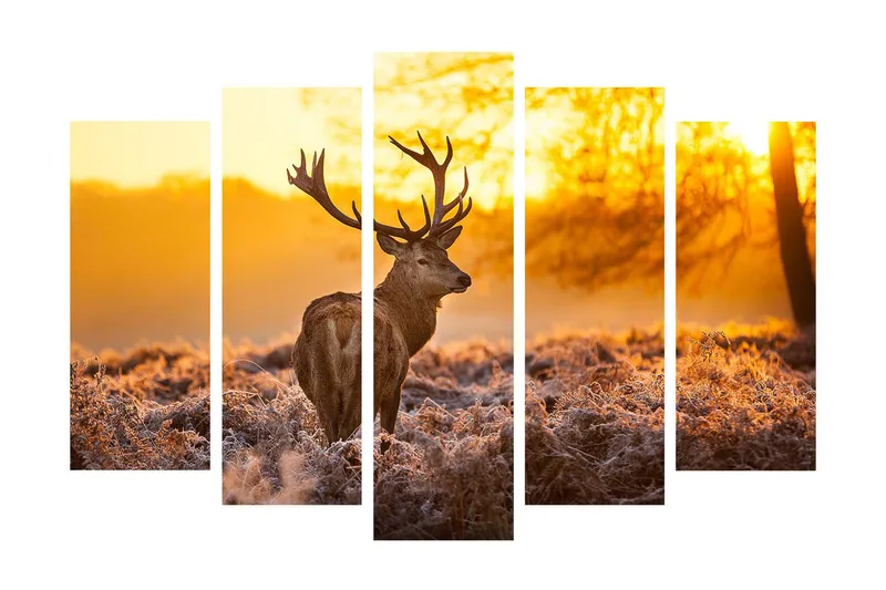 Suuri 5-osainen canvas-taulu 105x70 cm - Majesteettinen hirvi auringonnousun kultaisessa valossa, Kulta / Ruskea / Beige