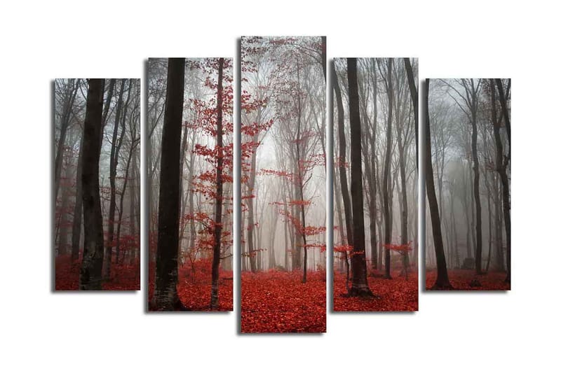 Suuri 5-osainen canvas-taulu 105x70 cm - Sumuinen metsä punaisten lehtipuiden kanssa - Punainen / Harmaa / Musta - Sisustustuotteet - Taulu & taide - Canvas-taulu