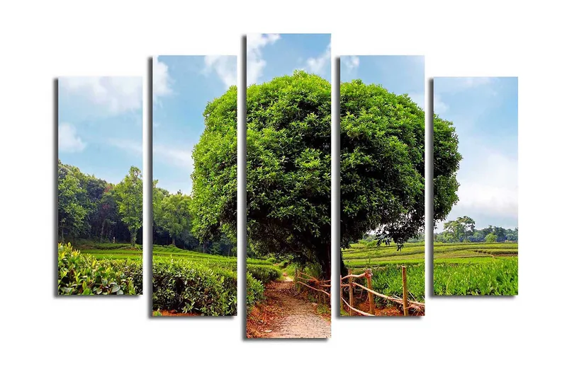 Suuri 5-osainen canvas-taulu 105x70 cm - Upea vihreä maisema ja suuri puu soratien varrella, Vihreä / Ruskea / Sininen