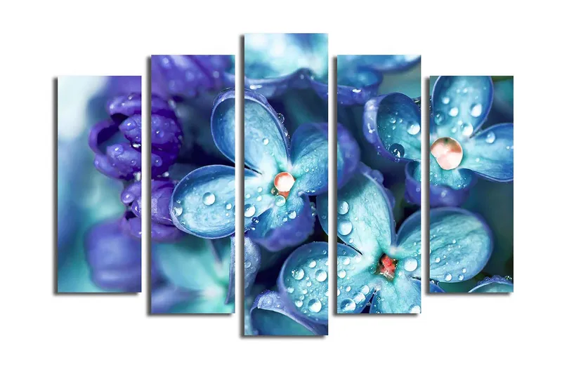 Suuri 5-osainen canvas-taulu 105x70 cm - Värikäs kokoelma kukkia ja vesipisaroita, Sininen / Violetti / Vihreä