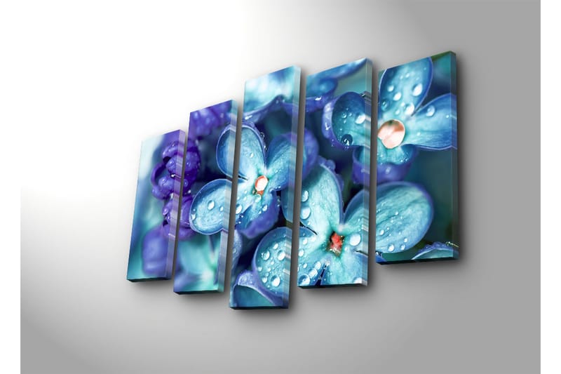 Suuri 5-osainen canvas-taulu 105x70 cm - Värikäs kokoelma kukkia ja vesipisaroita - Sininen / Violetti / Vihreä - Sisustustuotteet - Taulu & taide - Canvas-taulu