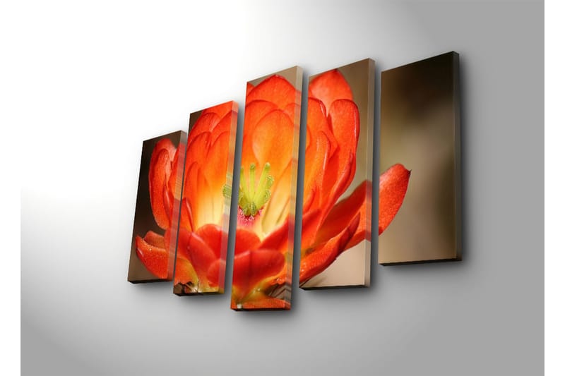 Suuri 5-osainen canvas-taulu 105x70 cm - Värikäs kukka syvän oranssin ja punaisen sävyissä - Oranssi / Vihreä - Sisustustuotteet - Taulu & taide - Canvas-taulu