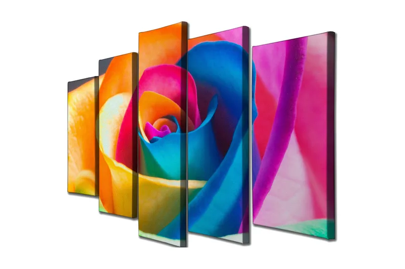 Suuri 5-osainen canvas-taulu 105x70 cm - Värikäs ruusu intensiivisillä sävyillä, Oranssi / Sininen / Vaaleanpunainen