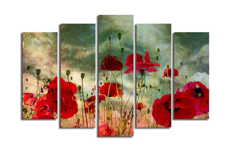 Suuri 5-osainen canvas-taulu 105x70 cm - Värikäs unikkopelto kukkien keskellä, Punainen / Vihreä / Beige