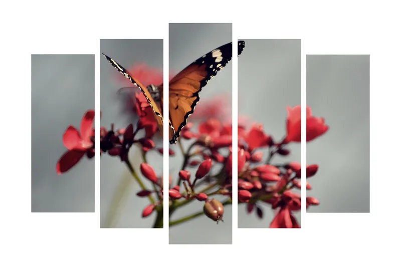 Suuri 5-osainen canvas-taulu 105x70 cm - Värikäs perhonen kukilla, Oranssi / Punainen / Vihreä