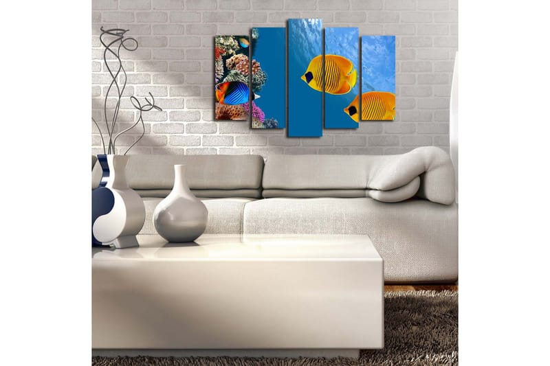 Suuri 5-osainen canvas-taulu 105x70 cm - Värikkäitä kaloja koralliriuttojen keskellä - Sininen / Keltainen / Violetti - Sisustustuotteet - Taulu & taide - Canvas-taulu
