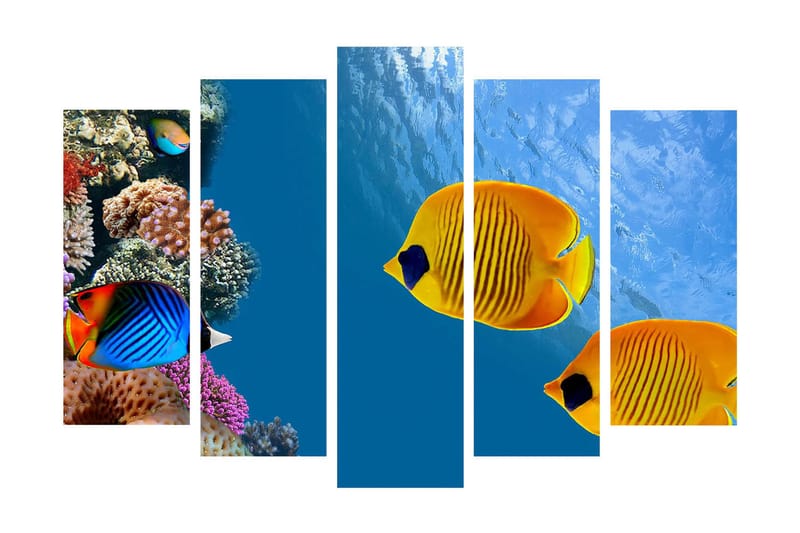 Suuri 5-osainen canvas-taulu 105x70 cm - Värikkäitä kaloja koralliriuttojen keskellä - Sininen / Keltainen / Violetti - Sisustustuotteet - Taulu & taide - Canvas-taulu