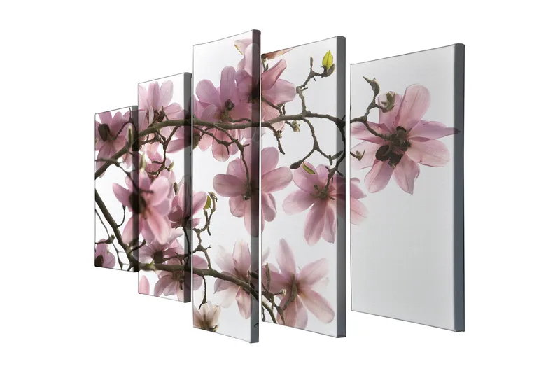 Suuri 5-osainen canvas-taulu 105x70 cm - Vaaleanpunaiset magnolian kukat oksilla - Vaaleanpunainen / Vihreä / Ruskea - Sisustustuotteet - Taulu & taide - Canvas-taulu
