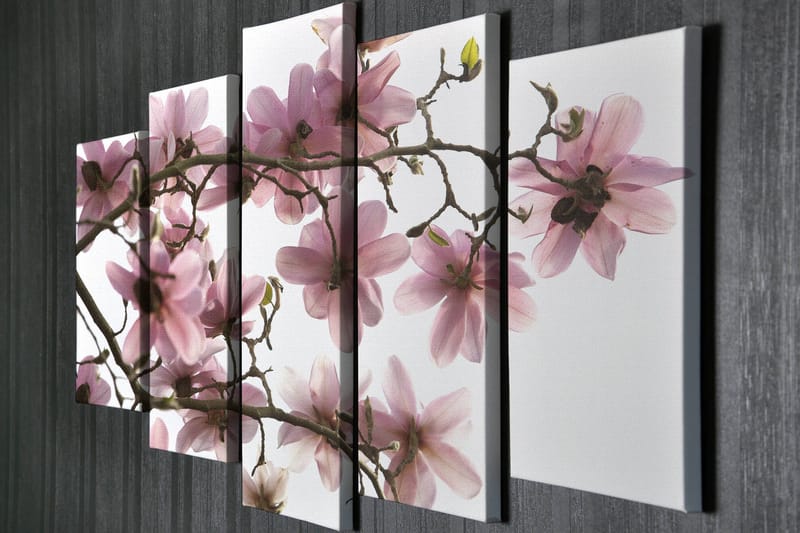 Suuri 5-osainen canvas-taulu 105x70 cm - Vaaleanpunaiset magnolian kukat oksilla - Vaaleanpunainen / Vihreä / Ruskea - Sisustustuotteet - Taulu & taide - Canvas-taulu