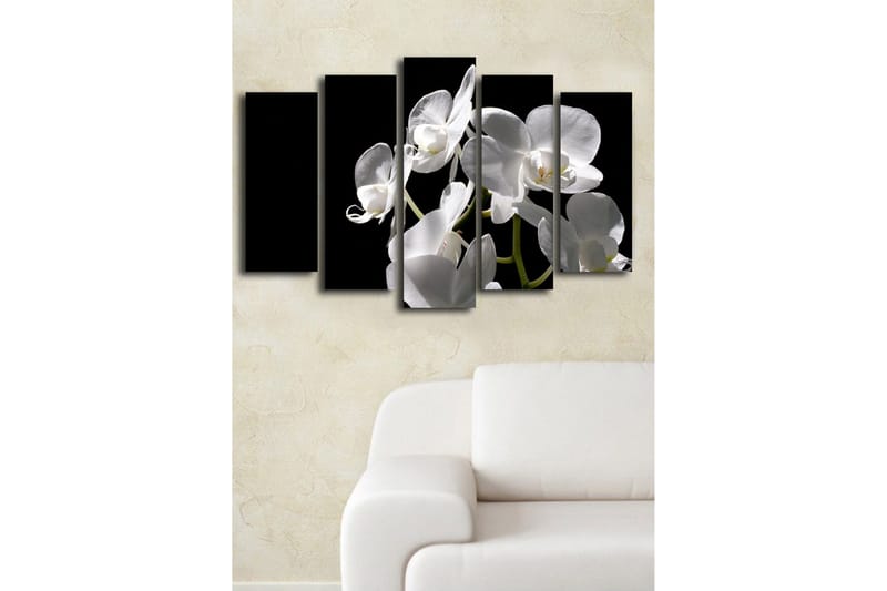 Suuri 5-osainen canvas-taulu 105x70 cm - Valkoinen orkidea eleganteilla kukilla - Valkoinen / Vihreä - Sisustustuotteet - Taulu & taide - Canvas-taulu