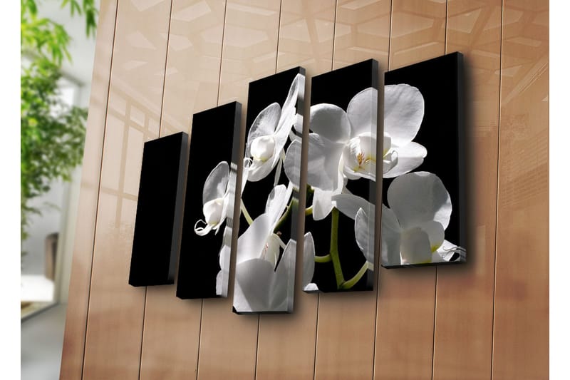 Suuri 5-osainen canvas-taulu 105x70 cm - Valkoinen orkidea eleganteilla kukilla - Valkoinen / Vihreä - Sisustustuotteet - Taulu & taide - Canvas-taulu